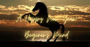 初心の心　この態度を持つことであたかも生まれて初めて体験するかのように、物事に対して興味と新鮮さをもって見つめることができます。